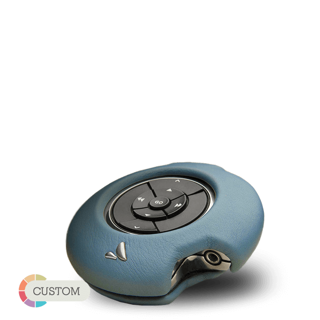 ivolution Suit -  for Bang & Olufsen BeoSound 2 - MP3's